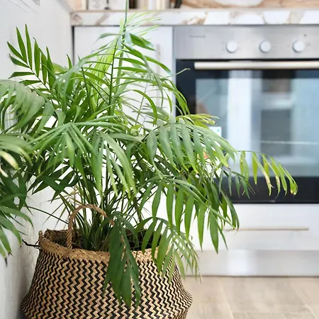 Exquisite 4-bedroom Prestige Rhodes *