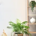 Апартаменты 4-bedroom Prestige Rhodes Near Old Town